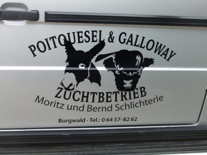 Der Zuchtbetrieb Der Zuchtbetrieb