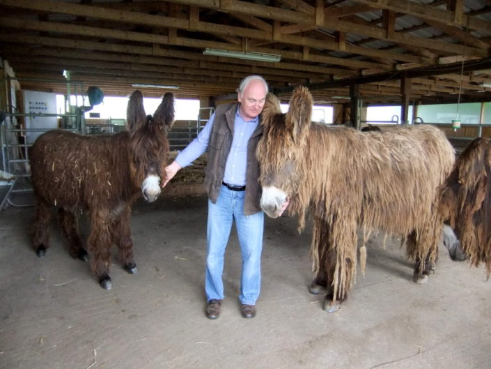 Die Poitou-Esel und Dr. Hans-Jürgen Zastrow Die Poitou-Esel und Dr. Hans-Jürgen Zastrow