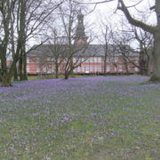 Schlosspark Husum / Krokusblüte