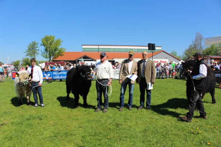 Bullen Pascha vom Haidhof und Demir vom Bechtelsberg Bullen Pascha vom Haidhof und Demir vom Bechtelsberg