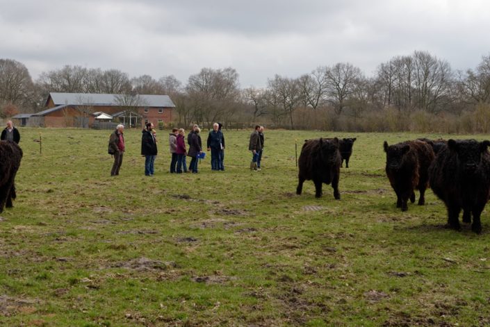 In der Mutterkuhherde vom Haidhof In der Mutterkuhherde vom Haidhof