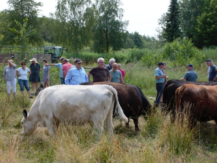 Begutachtung der Herde