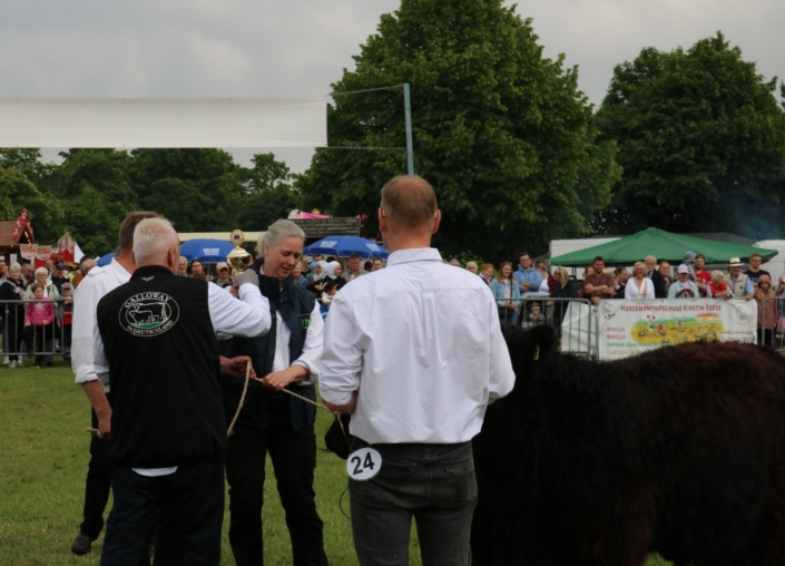 A BatchIMG 8553