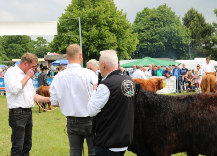 A BatchIMG 8554
