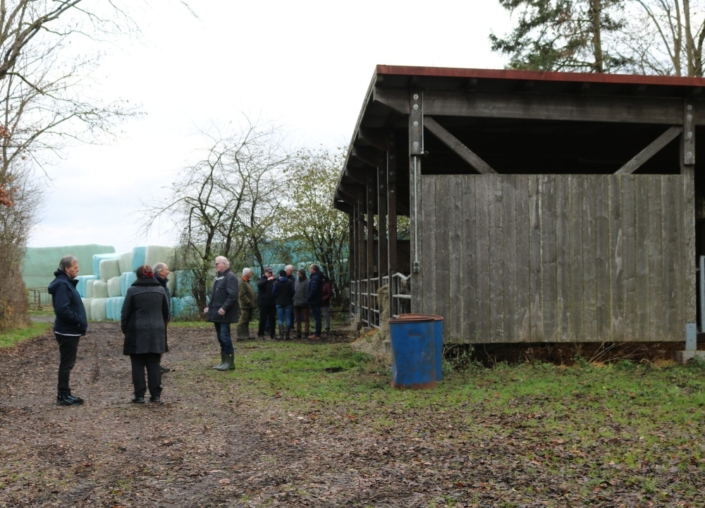 Offenstall für Bullen